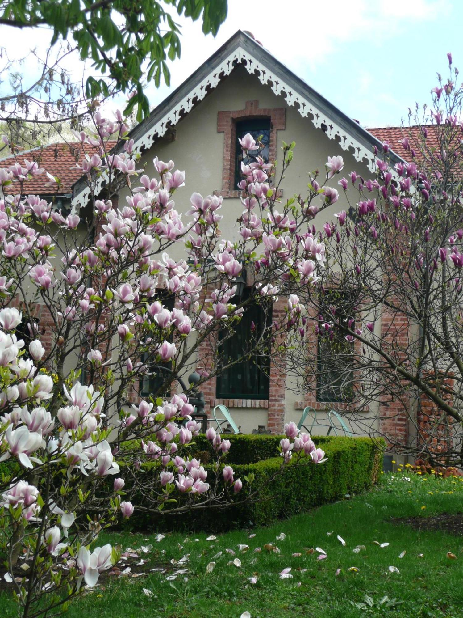 Au Fond De La Cour Veyre-Monton Exterior foto